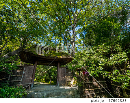 祇王寺　苔寺 57662383
