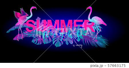 Summer composition Summer composition 57663175