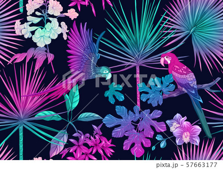 Seamless pattern, background with tropical plants 57663177