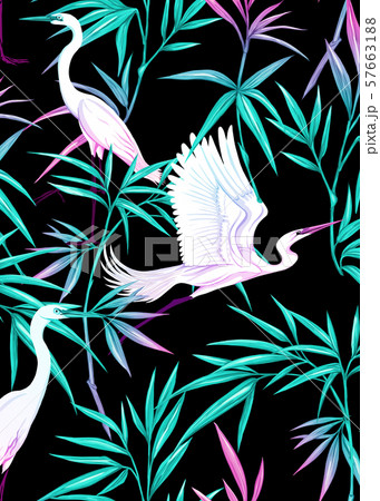Background with tropical plants, flowers, birds Background with tropical plants, flowers, birds 57663188