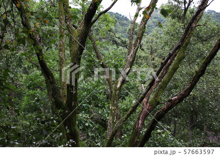 ボグクムン 門 位置 57663597