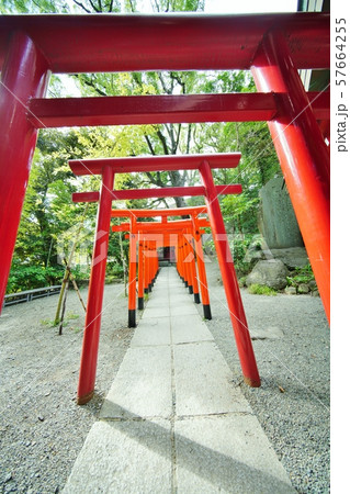 来宮神社の鳥居 57664255