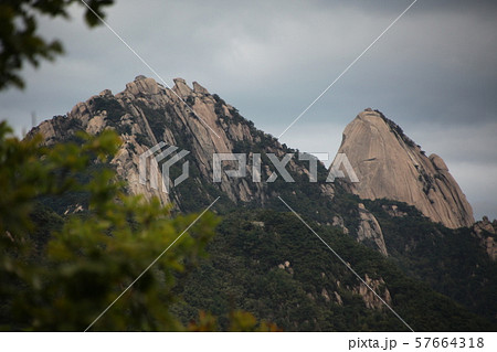 韓国 鍾路区 城北区 57664318