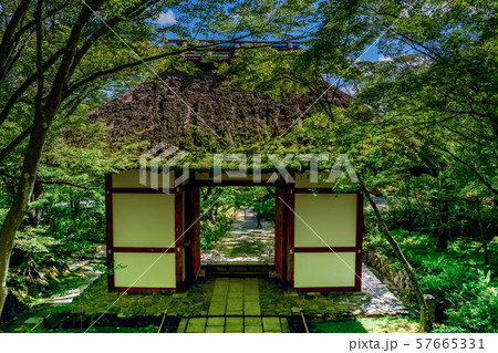 常寂光寺 57665331