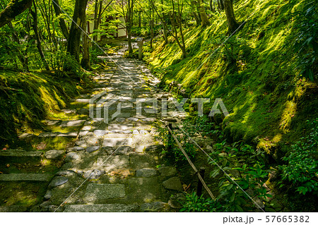 常寂光寺 57665382