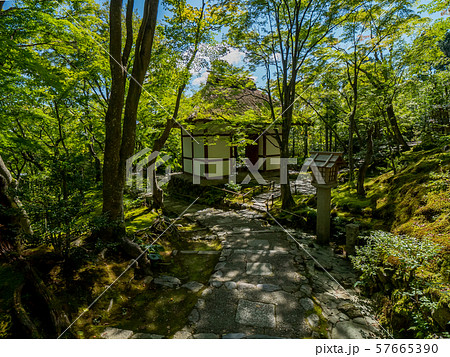 常寂光寺 57665390