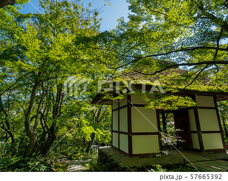 常寂光寺 常寂光寺 57665392