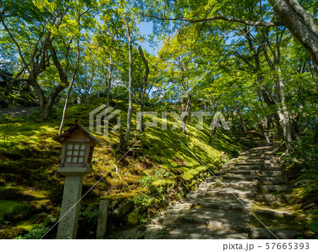 常寂光寺 57665393