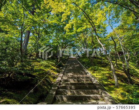 常寂光寺 常寂光寺 57665395