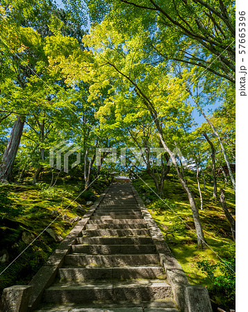 常寂光寺 常寂光寺 57665396