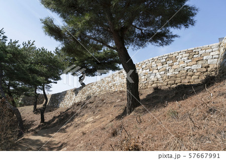 峨嵯山 木 空 57667991