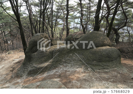 伝説 峨嵯山 登山 57668029