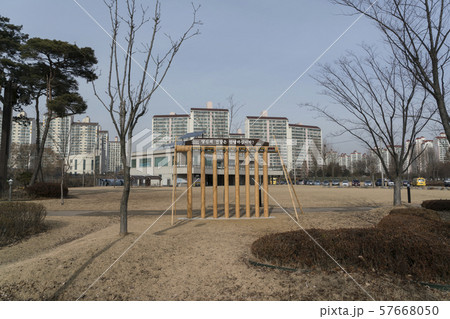 木 公園 ダイエット 57668050