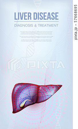 Vertical social media baner with realistic liver and gallbladder 57668695