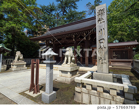 　夏の埼玉県川口市の川口神社 57669769