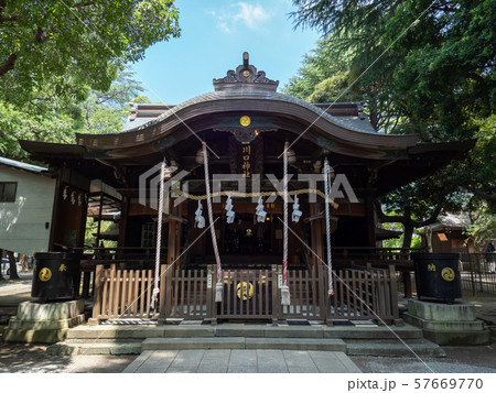 夏の埼玉県川口市の川口神社 57669770