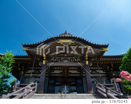 夏の青空と埼玉県川口市の錫杖寺本堂の風景　7月 57670245