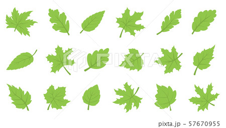 Green leaf set. Eco design Green leaf set. Eco design 57670955