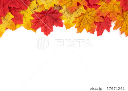Flat lay Autumn maple leaves texture. Background made of color red and orange leaves isolate on white background. Top view, Nature background 57671261