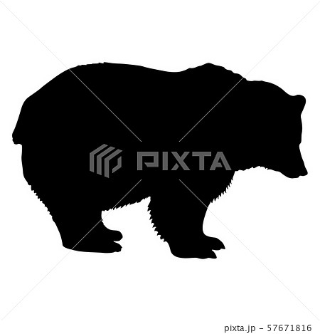 Silhouette brown bear on a white background 57671816