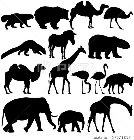 Silhouette elephant bear eagle trot duck zebra on 57671817