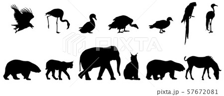 Silhouette elephant tiger bear giraffe flamingo Silhouette elephant tiger bear giraffe flamingo 57672081