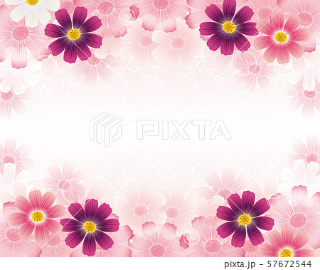 コスモス 背景のイラスト素材