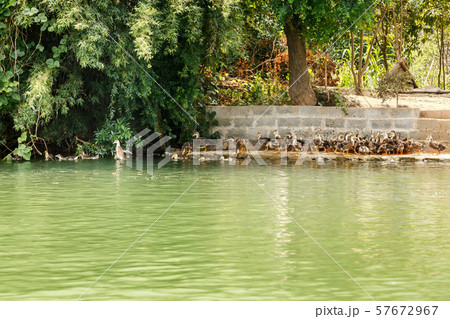 Water surface of the river with a view of the Water surface of the river with a view of the 57672967