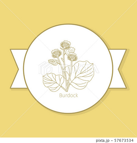 Burdock medicine plant yellow label Burdock medicine plant yellow label 57673534