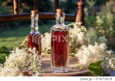 Herbal tincture with blooming meadowsweet plant Herbal tincture with blooming meadowsweet plant 57673878