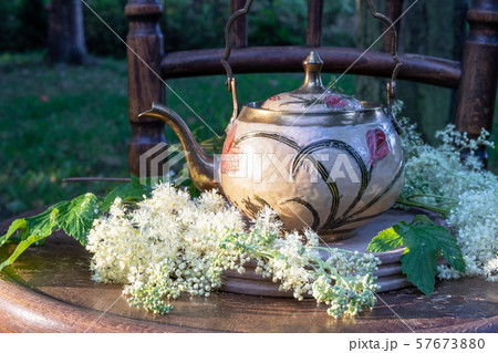 Fresh meadowsweet flowers with a teapot Fresh meadowsweet flowers with a teapot 57673880