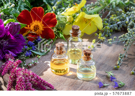 Essential oil bottles with wormwood, mallow and other herbs 57673887