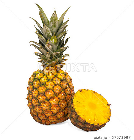 Pineapple 3d Rendering With Realistic Textureのイラスト素材