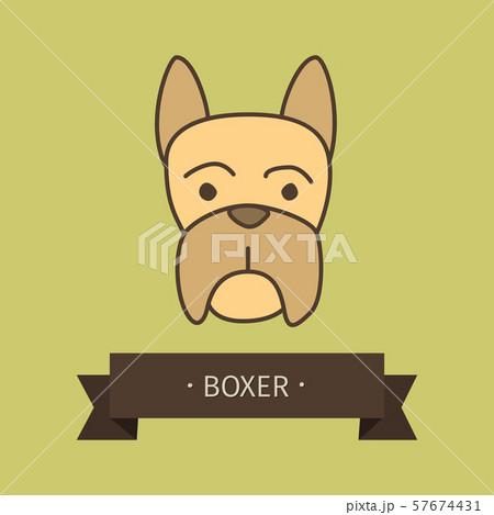 Boxer breed dog for logo design Boxer breed dog for logo design 57674431