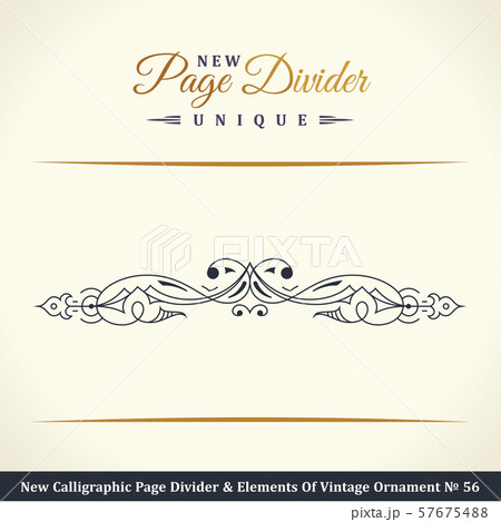 New Calligraphic Page Dividers and Elements of vintage ornaments 57675488