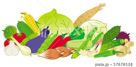 夏季の野菜 夏季の野菜 57676538