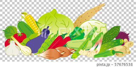夏季の野菜 夏季の野菜 57676538