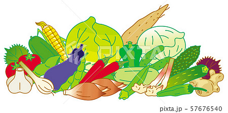 夏季の野菜 57676540