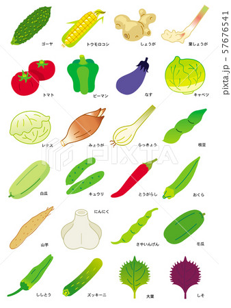 夏季の野菜 57676541
