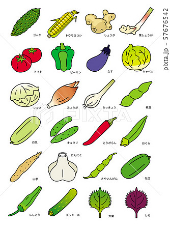 夏季の野菜 夏季の野菜 57676542