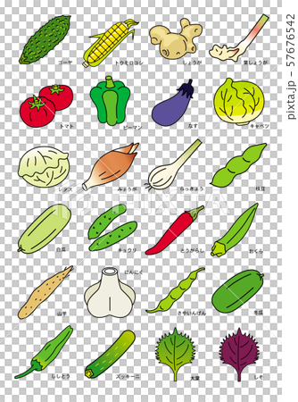 夏季の野菜 夏季の野菜 57676542