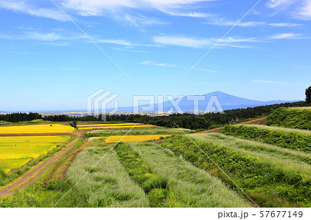 庄内平野　秋風景 57677149