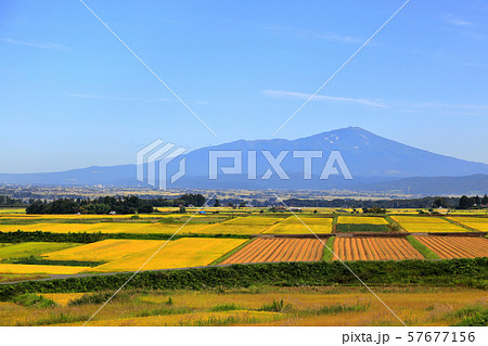 庄内平野　秋風景 57677156