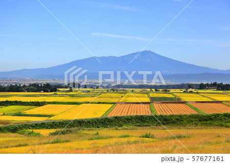庄内平野　秋風景 57677161