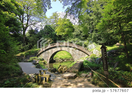 初秋の小石川後楽園 初秋の小石川後楽園 57677607