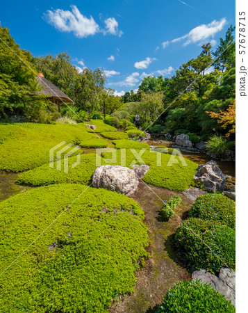 妙心寺　退蔵院 57678715
