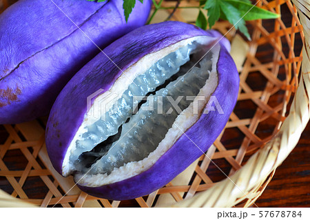 美味しいあけび 美味しいあけび 57678784