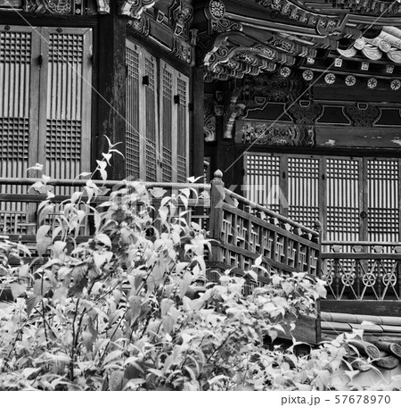 白黒写真 華やかさ 国 57678970