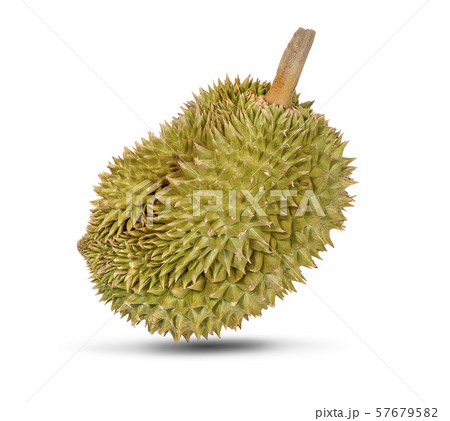 Durian fruit isolated on white background. 57679582