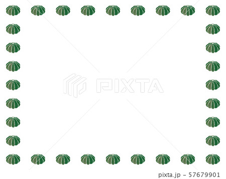 かぼちゃ 緑 フレームのイラスト素材